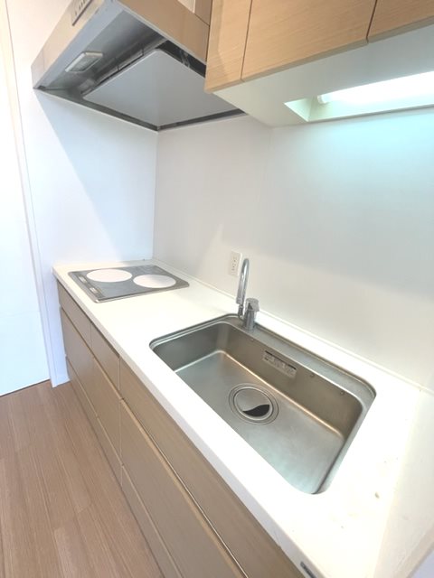 Brillia ist 中野セントラルパーク キッチン