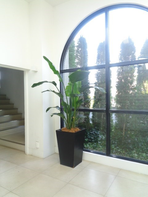 ソサエティ関町 その他10