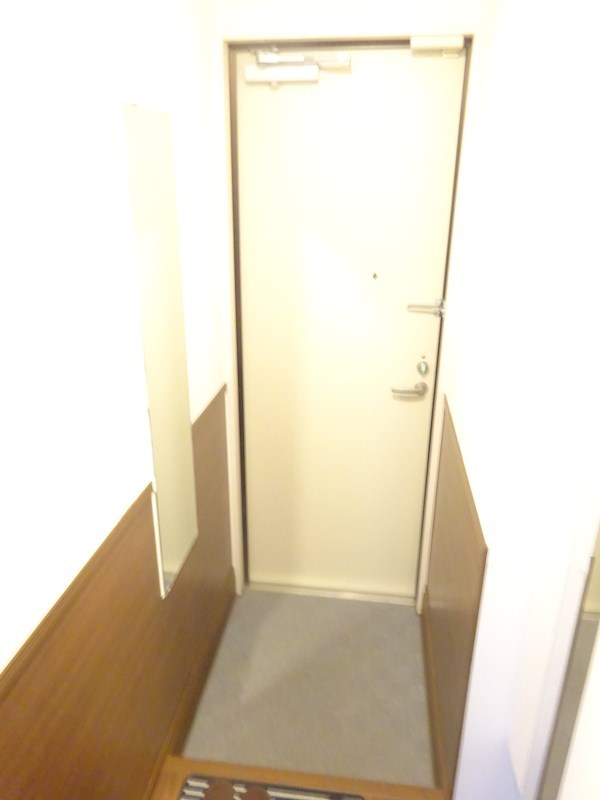 レモンアイ その他16