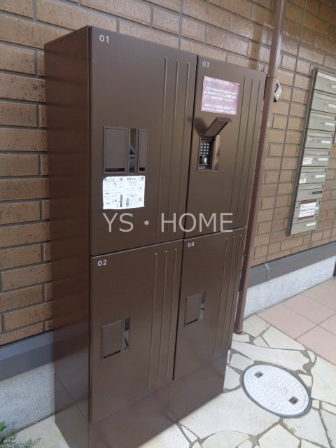 Ｓｏｌeiｌ　Ｌｅｖａｎｔ その他18