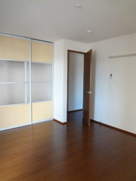 フリージア その他12