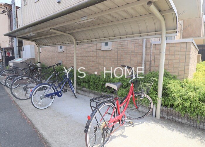 フリージア その他14