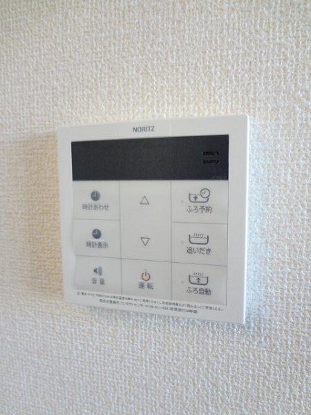 フリージア その他16