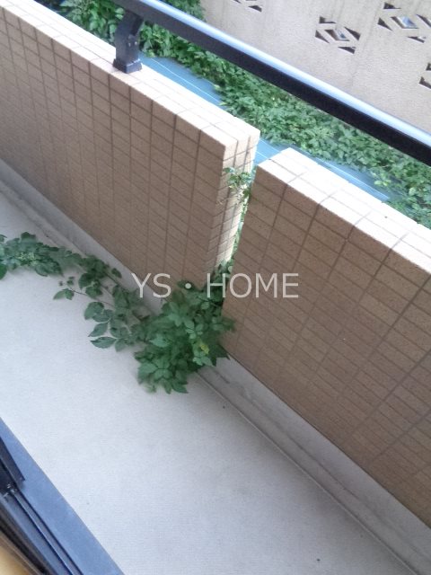 ソフィア武蔵野 ベランダ