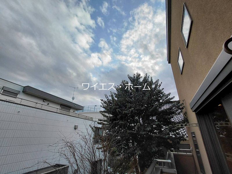 MYグリーン その他6