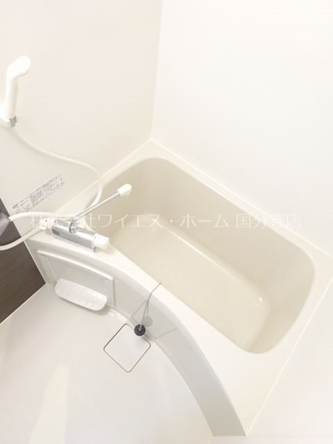 リブリ・アサント その他11