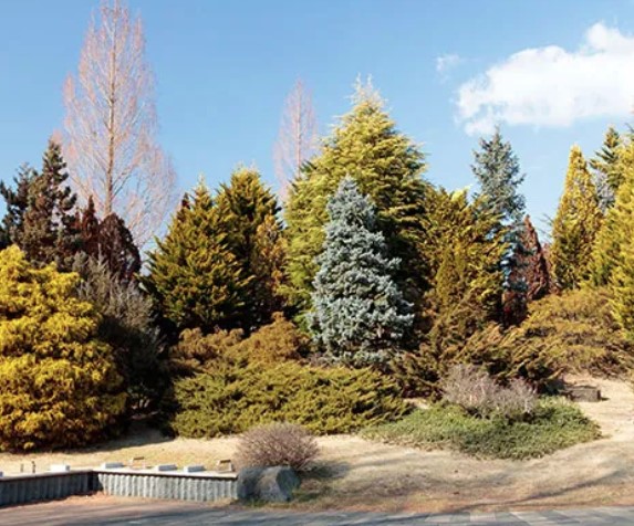 パークサイド野川公園 周辺画像7