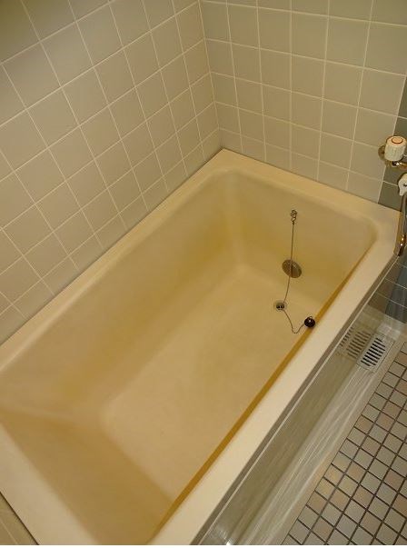 ロイヤルハイネス その他8