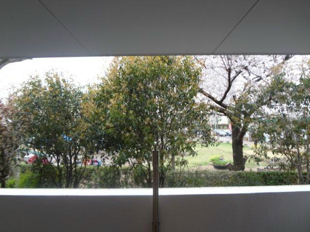 パーク・リラカリ その他11