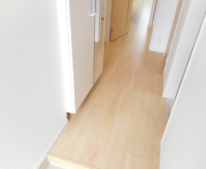 Ｃａｓａ　Ｄｏｍａｎｉ　Ⅰ 玄関