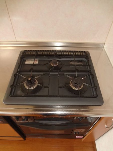 プレジール　カーサ・ベルデ その他11