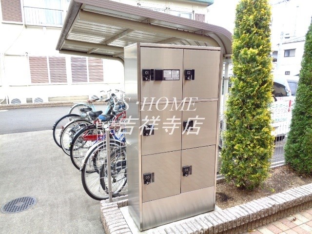 マグノリア その他7