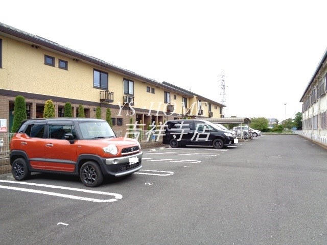 マグノリア その他12