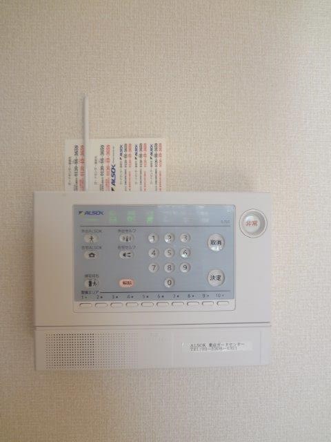 マグノリア その他12