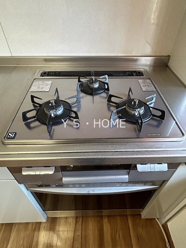 ホーリーランド貫南戸建 その他9