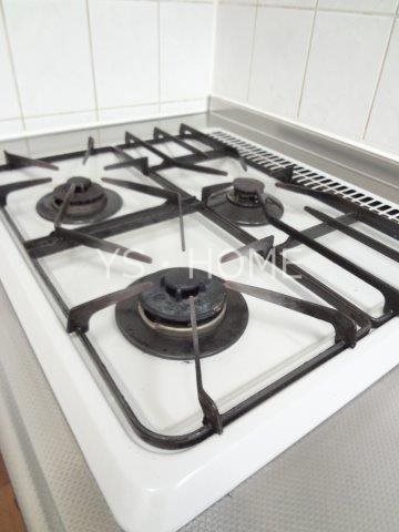 ドゥジェームニイヤ その他8