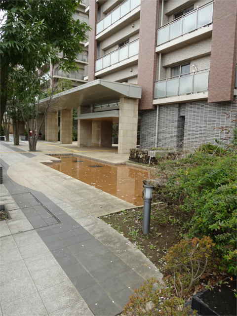 深大寺レジデンス　   その他外観3