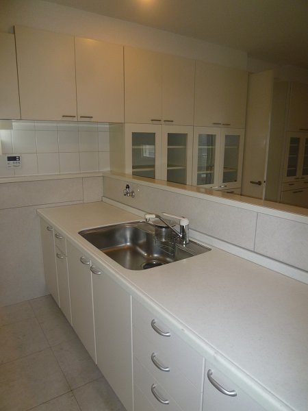 落合ミュージックハイム キッチン