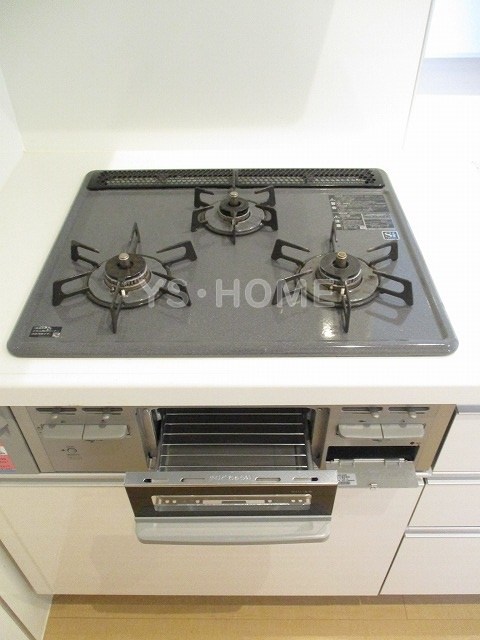 キャメリア その他10