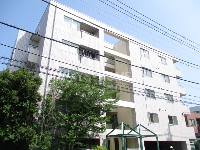 その他11