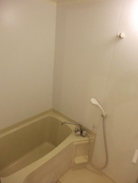 パラッツィーナチグサ　デュエ その他9