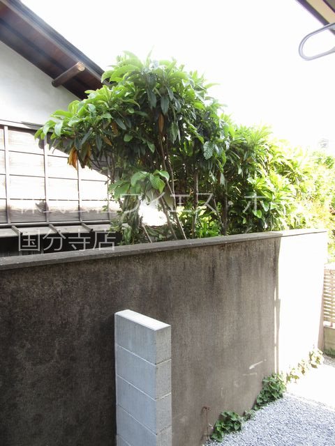 エルメゾン国立 その他16