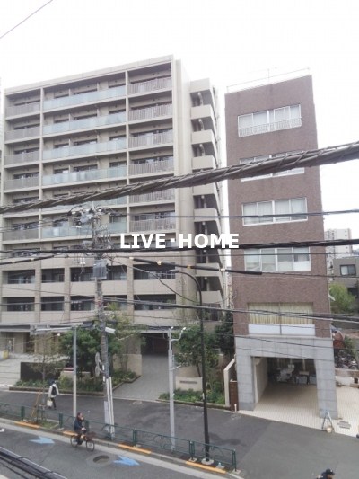 その他15