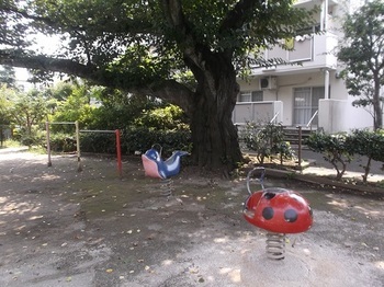 コンチェルト杉並 周辺画像6