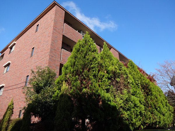 ヴァン・シャルマンＯＺ　　 外観