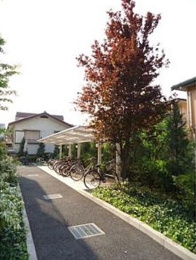 カサブランカN その他5