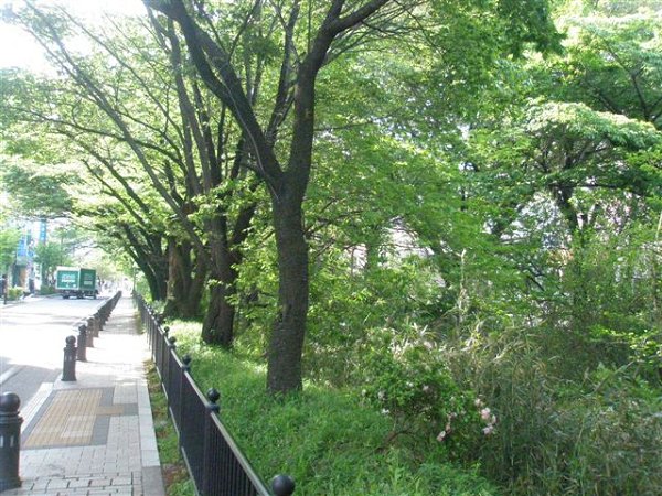 佐藤タウンハウス 周辺画像2