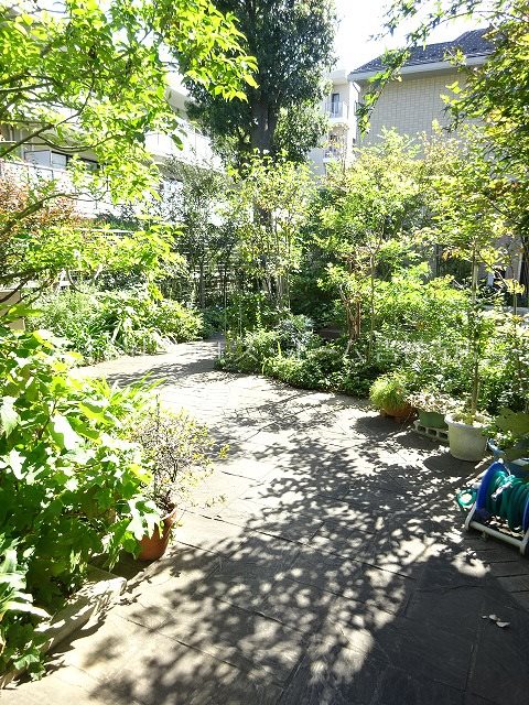 ガーデンハウスB その他8