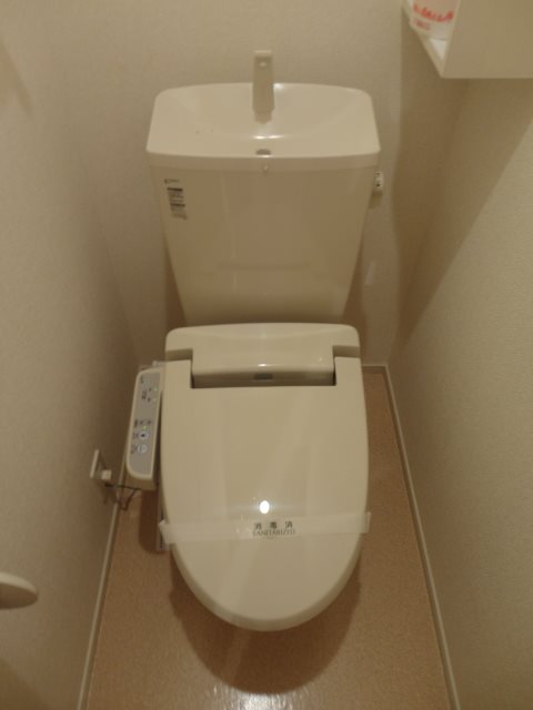 スター　シエル  その他2