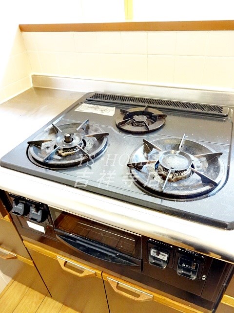 井の頭アルカディア その他15