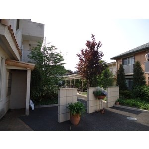 カサブランカN その他5