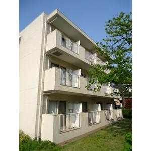 カサブランカN その他10