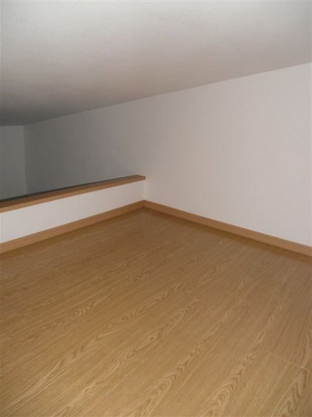 CASA　ESPINACA  その他6