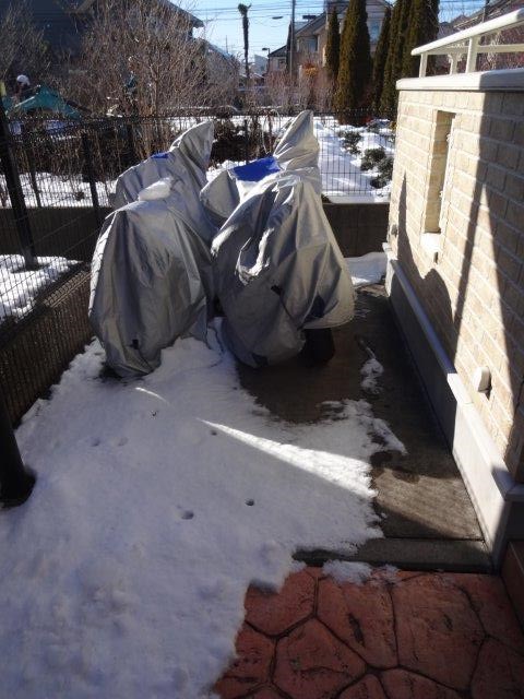 アルカンシェル その他1