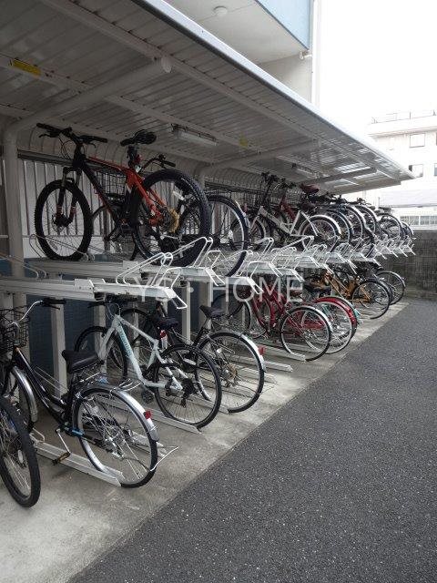 クティールＭ  その他17