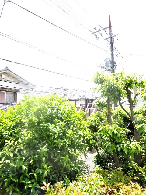 パールマンションオザキⅡ その他4