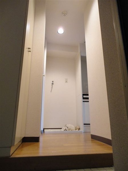 リベール国分寺 玄関