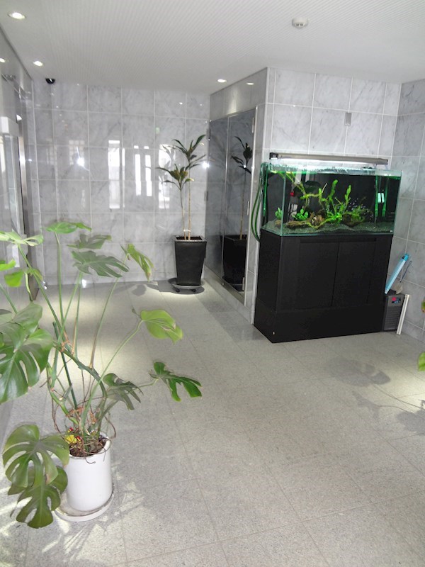 ホワイトステージ その他6