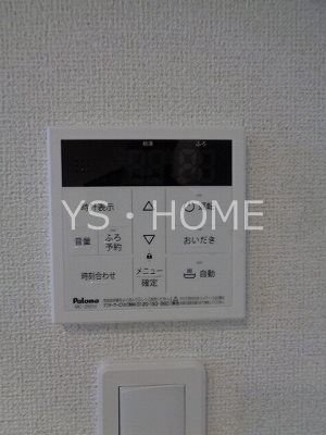 フラーゼ  その他20