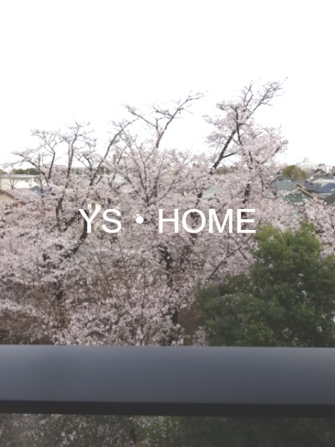 シティハウス吉祥寺北町 その他36
