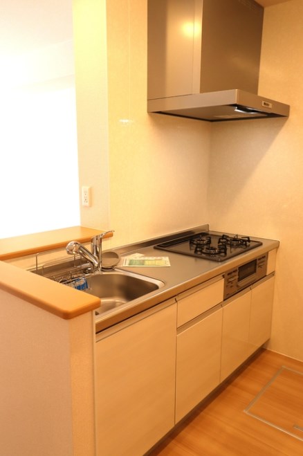 Fika Ⅱ その他14