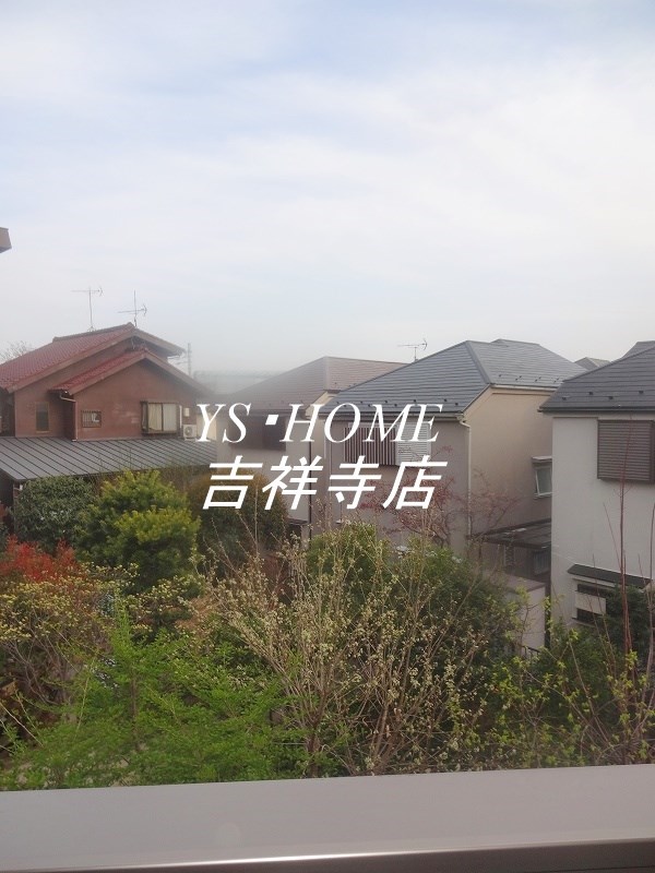 Chamomile　　 その他4