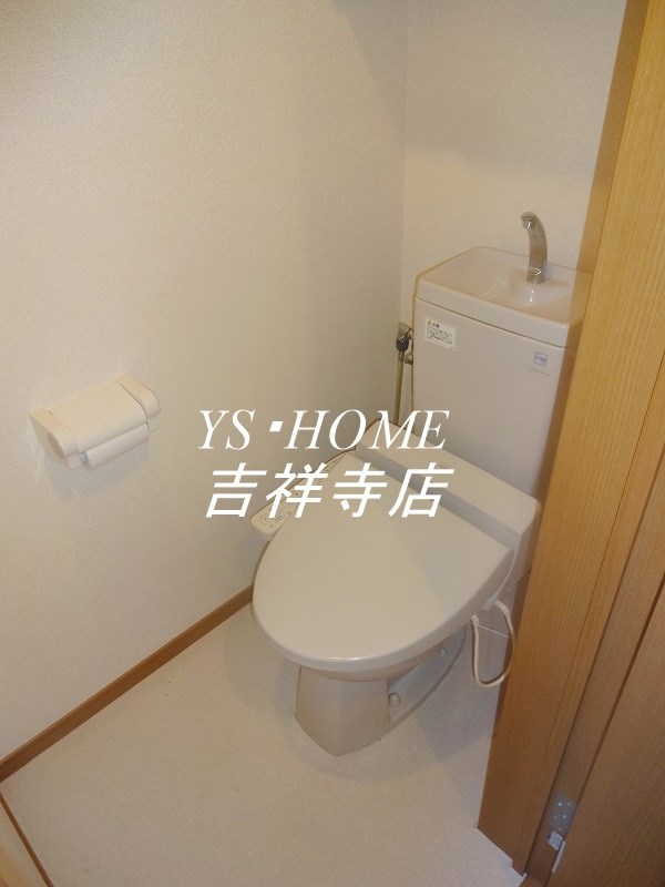 Chamomile その他2