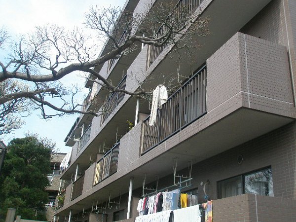 グランシティ小金井  その他外観1