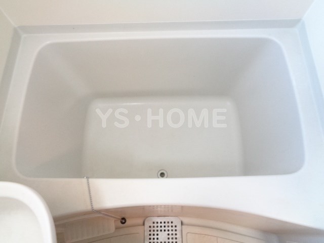 アレグリアス その他10