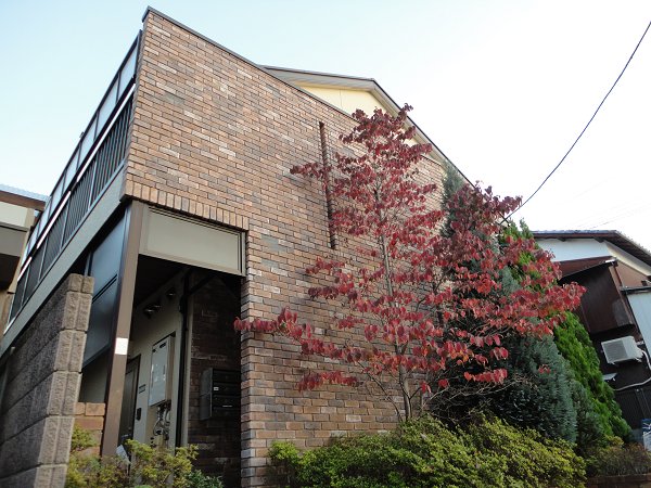 アネックス中町  その他8